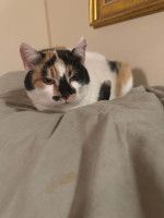 /album/265/whatsapp-image-2026-03-25-at-19-49-27-3-jpeg/